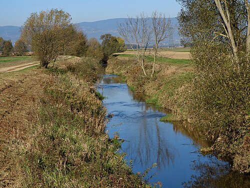 Medvedce (Majšperk)