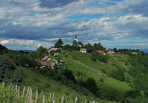 Vinji Vrh (Šmarješke Toplice)