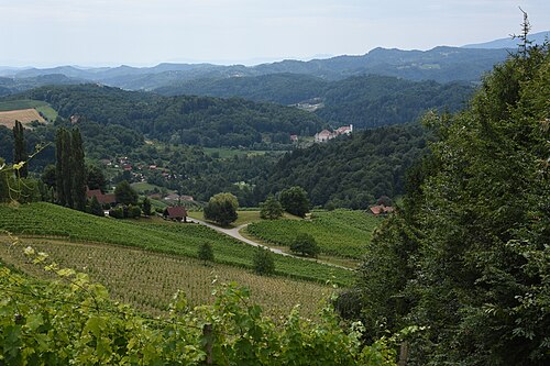 Svečina (Kungota)