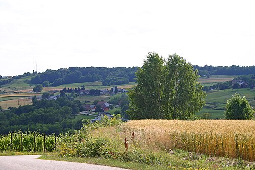 Dolina (Puconci)