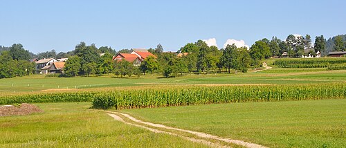 Slatnik (Ribnica)
