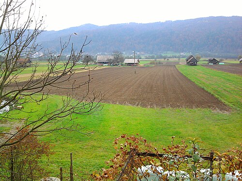 Račica (Sevnica)