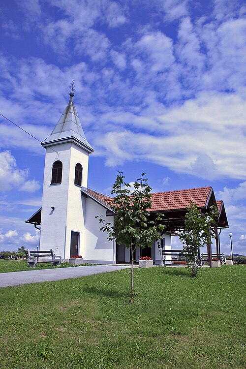 Strukovci (Puconci)